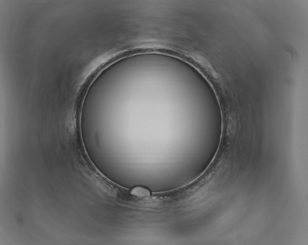 X0000112501167200908171302
