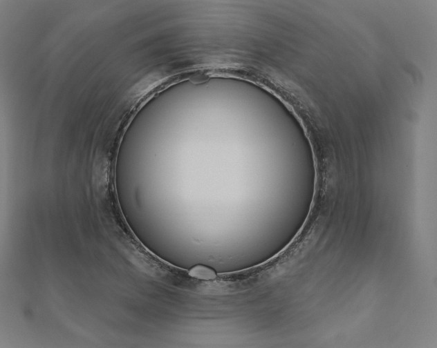 X0000112501169200908171302
