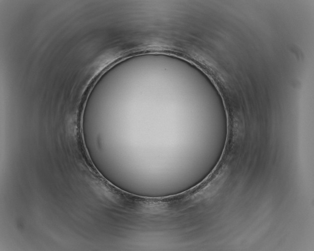 X0000112501170200908171302