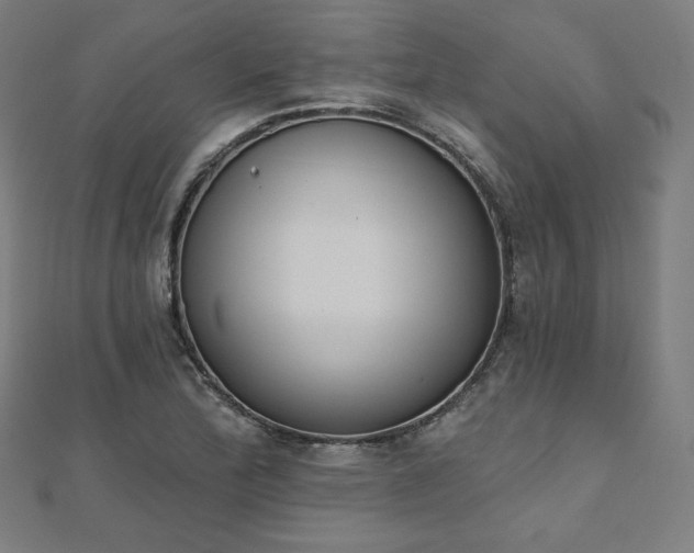 X0000112501172200908171302