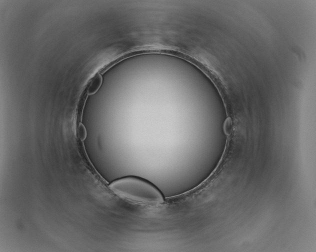 X0000112501173200908171302