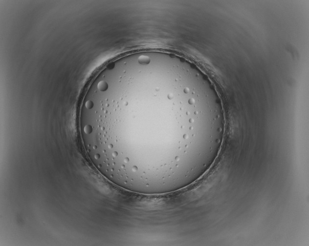 X0000112501174200908171302