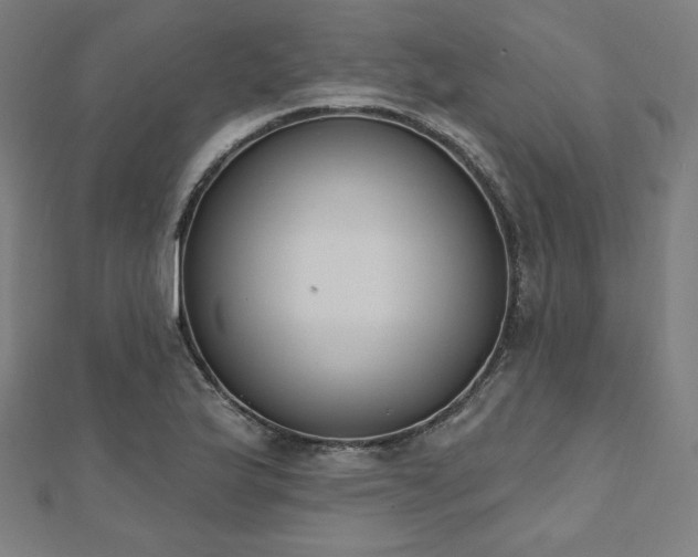 X0000112501175200908171302