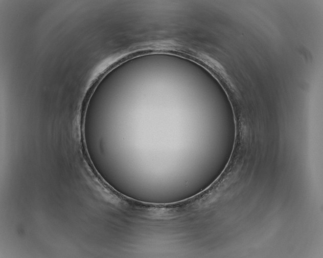 X0000112501176200908171302