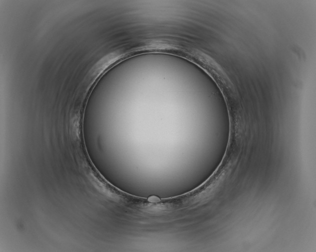 X0000112501177200908171302