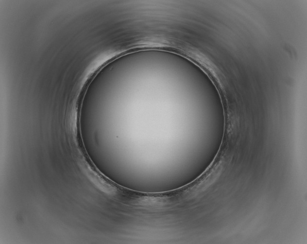 X0000112501179200908171302