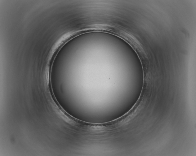 X0000112501180200908171302