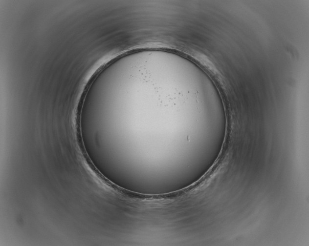 X0000112501181200908171302