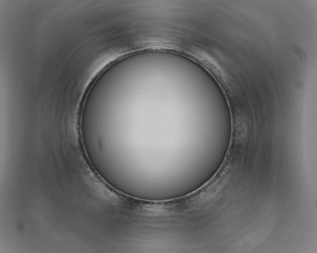 X0000112501182200908171302