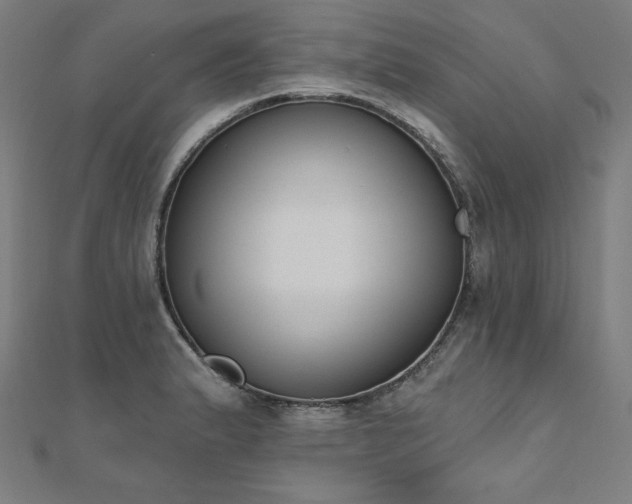 X0000112501183200908171302