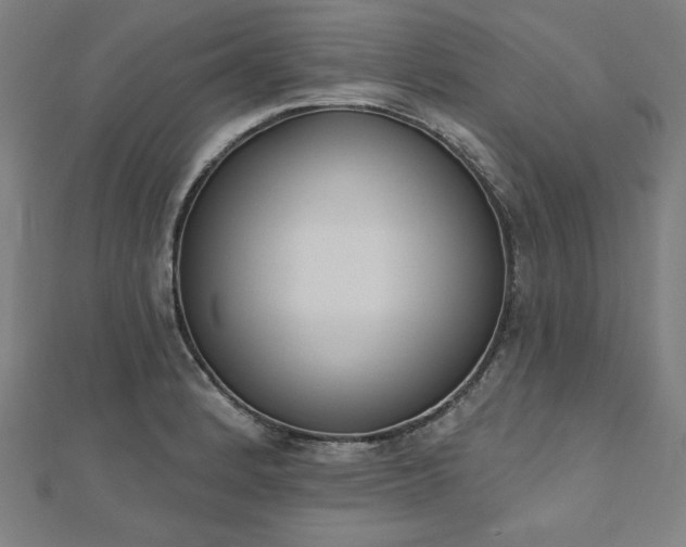 X0000112501184200908171302
