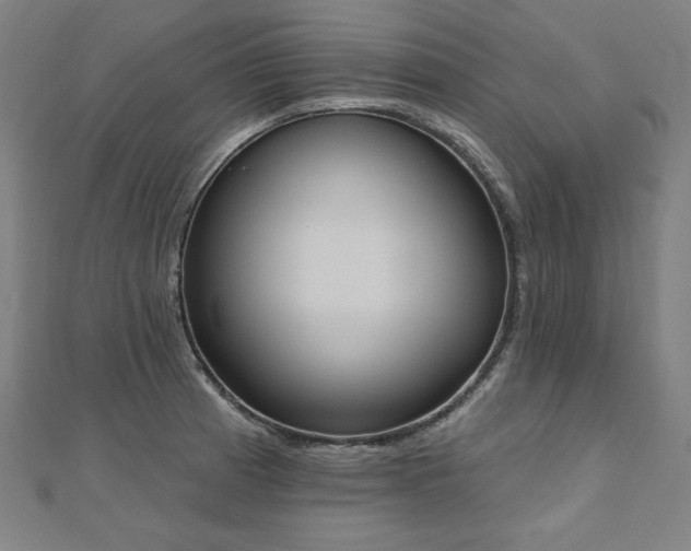 X0000112501185200908171302