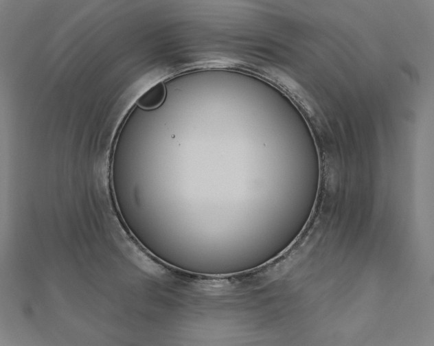 X0000112501186200908171302