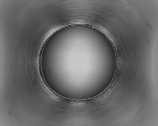 X0000112501187200908171302