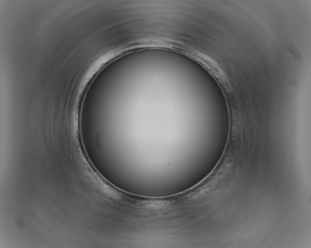 X0000112501188200908171302