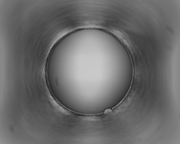 X0000112501189200908171302