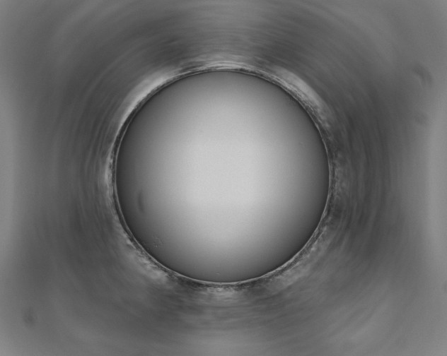 X0000112501190200908171302