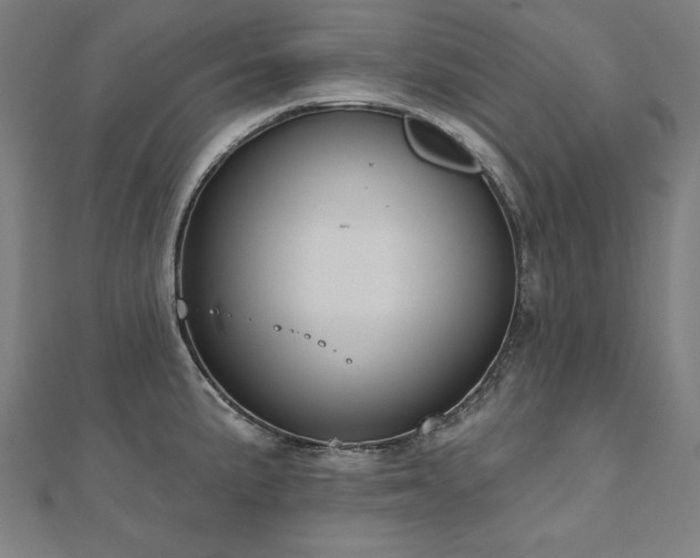 X0000112501191200908171302