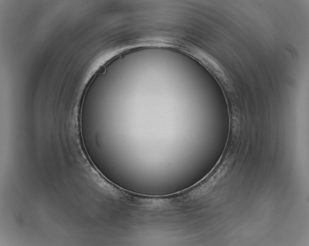 X0000112501192200908171302