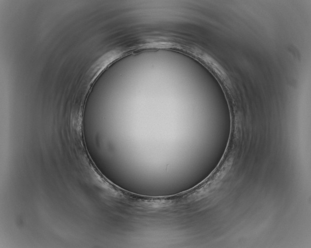 X0000112501193200908171302