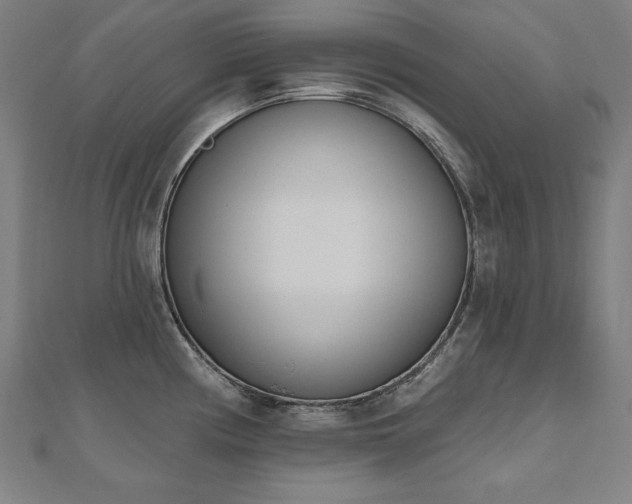 X0000112501194200908171302