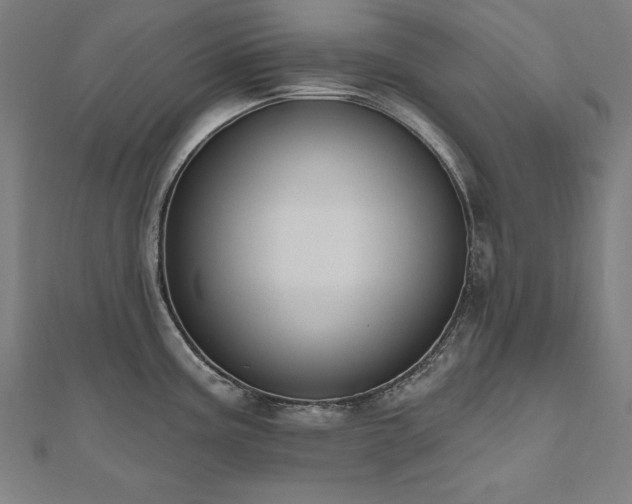 X0000112501195200908171302