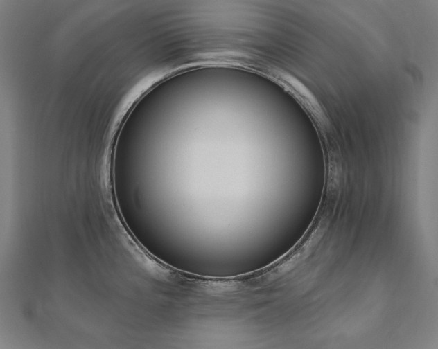 X0000112501196200908171302