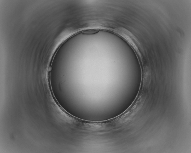 X0000112501197200908171302