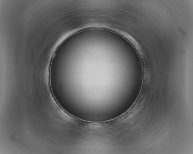 X0000112501199200908171302