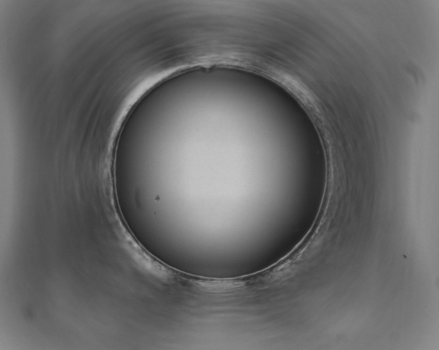 X0000112501200200908171302