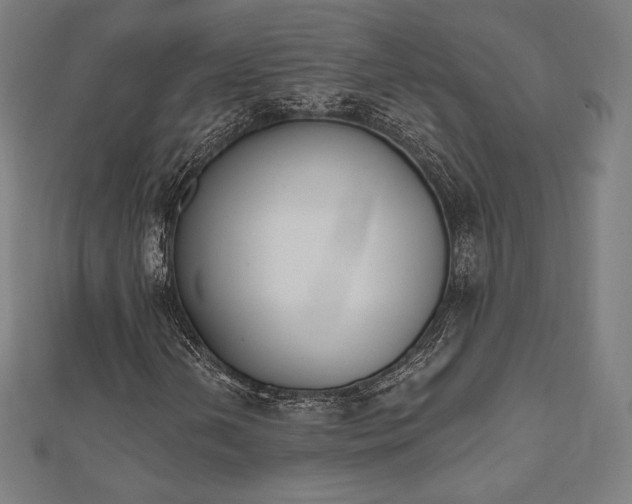 X0000112501202200908171301