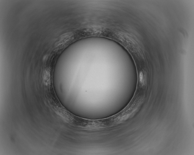 X0000112501203200908171301