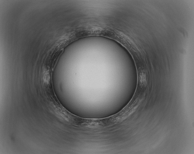 X0000112501204200908171301