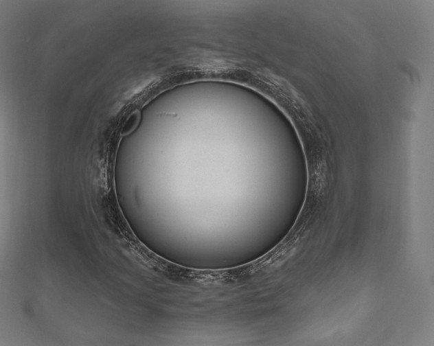 X0000112501205200908171301