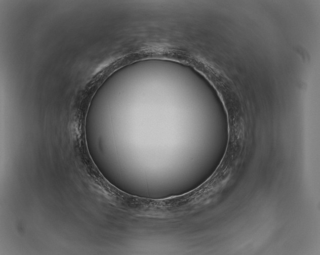 X0000112501206200908171301