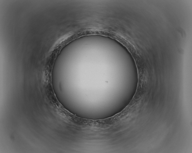 X0000112501207200908171301