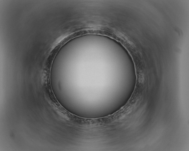 X0000112501208200908171301
