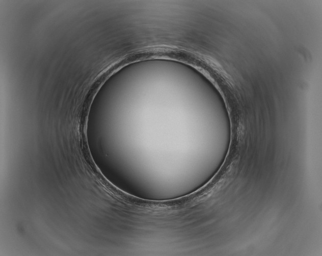 X0000112501209200908171301
