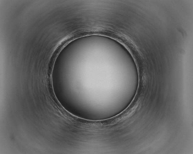 X0000112501210200908171301