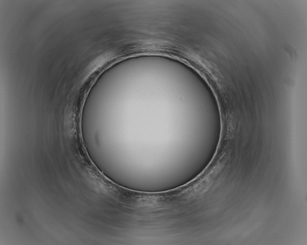 X0000112501211200908171301