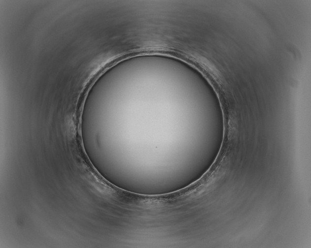 X0000112501212200908171302