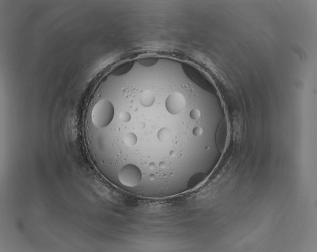 X0000112501213200908171302
