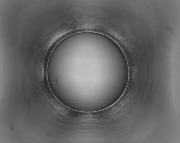 X0000112501214200908171302