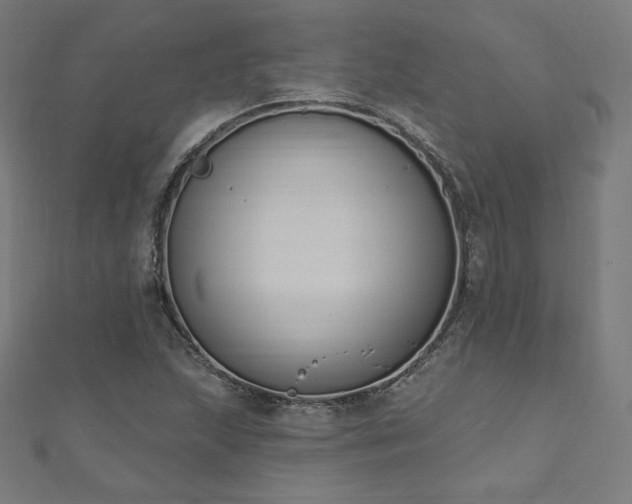 X0000112501215200908171302