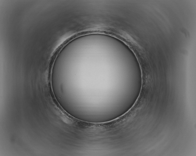 X0000112501216200908171302