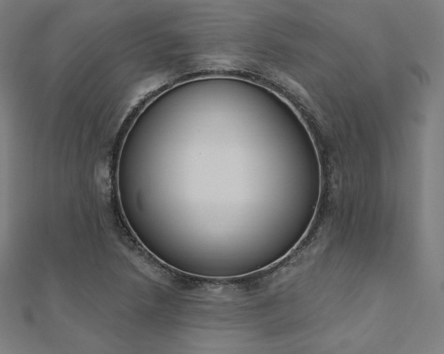 X0000112501218200908171302