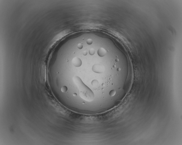 X0000112501219200908171302