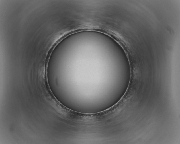 X0000112501220200908171302