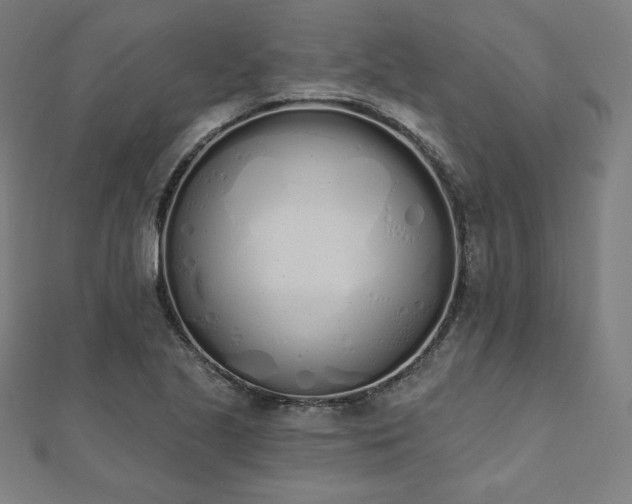 X0000112501221200908171302