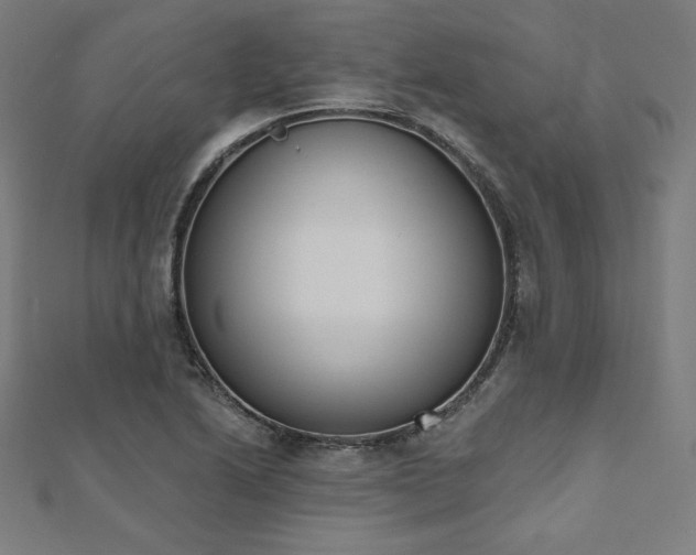 X0000112501222200908171302